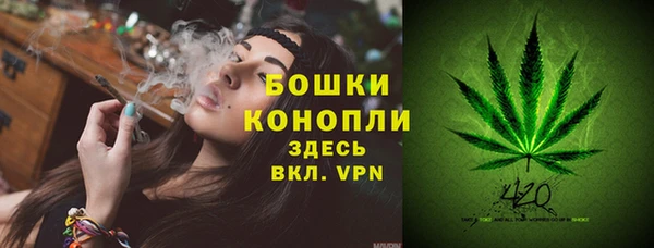 мяу мяу мука Аркадак