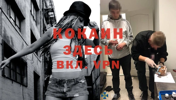 крисы Армянск