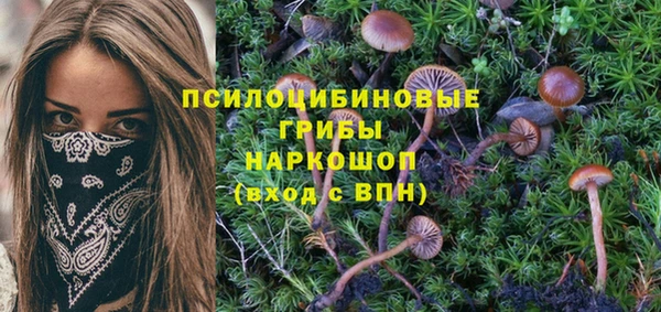 крисы Армянск