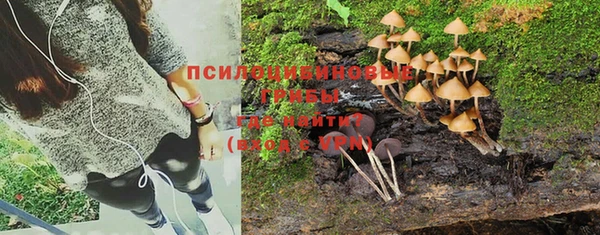 прущие крисы Балабаново